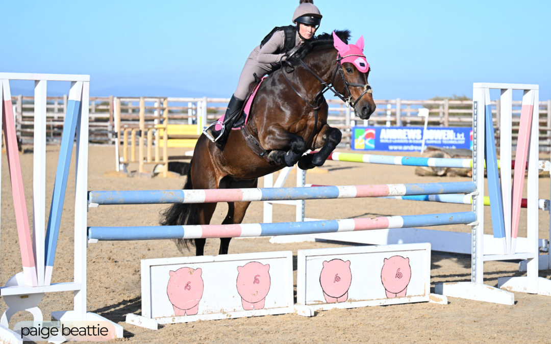 British Showjumping Photographer Accreditation