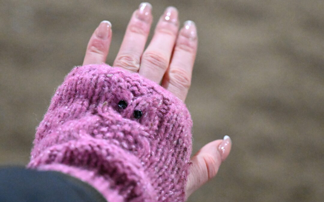 Pink Owl Gloves and Banging Chips